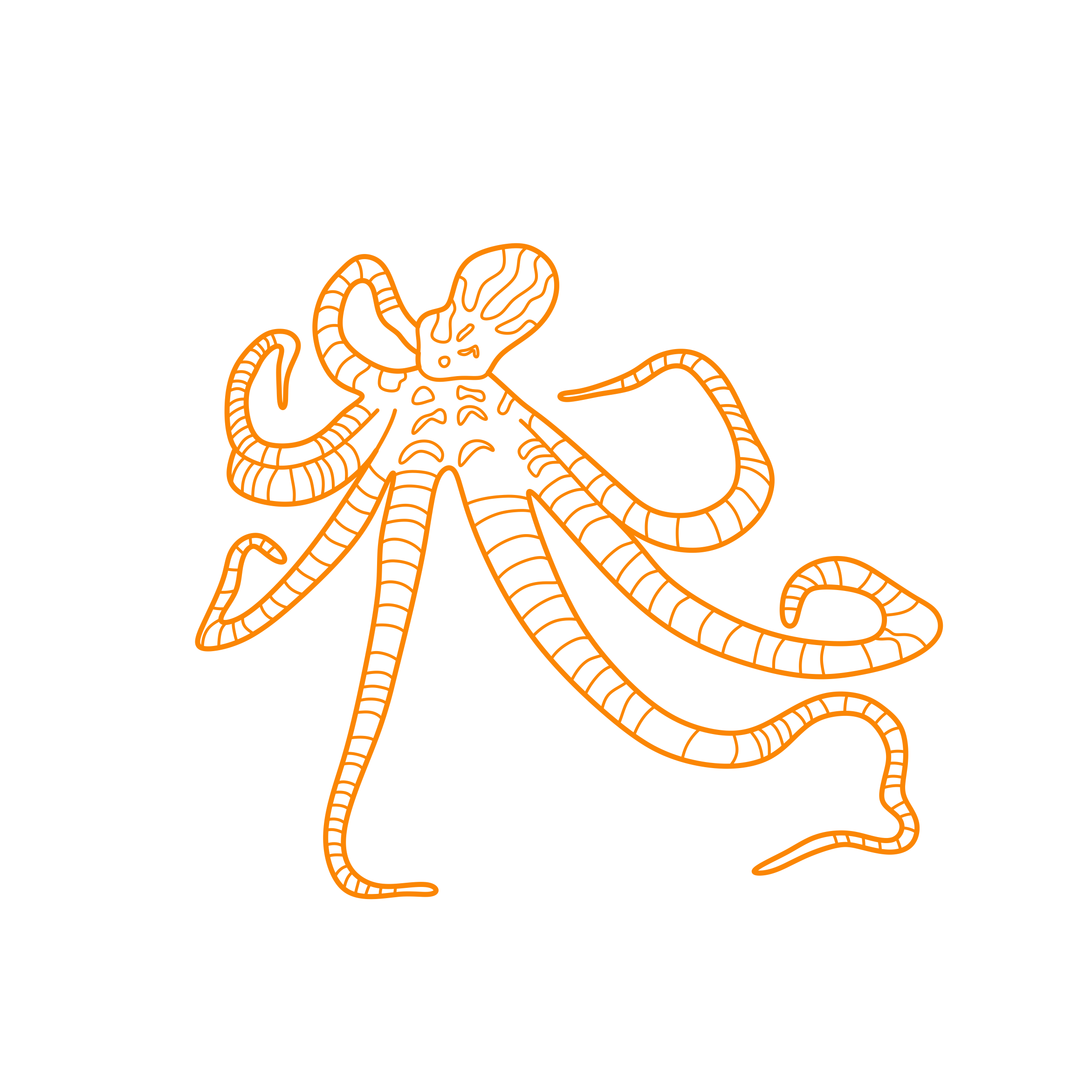 Animals Cephalopods Mimic Octopus Line Art Svg Vector Free Vectors